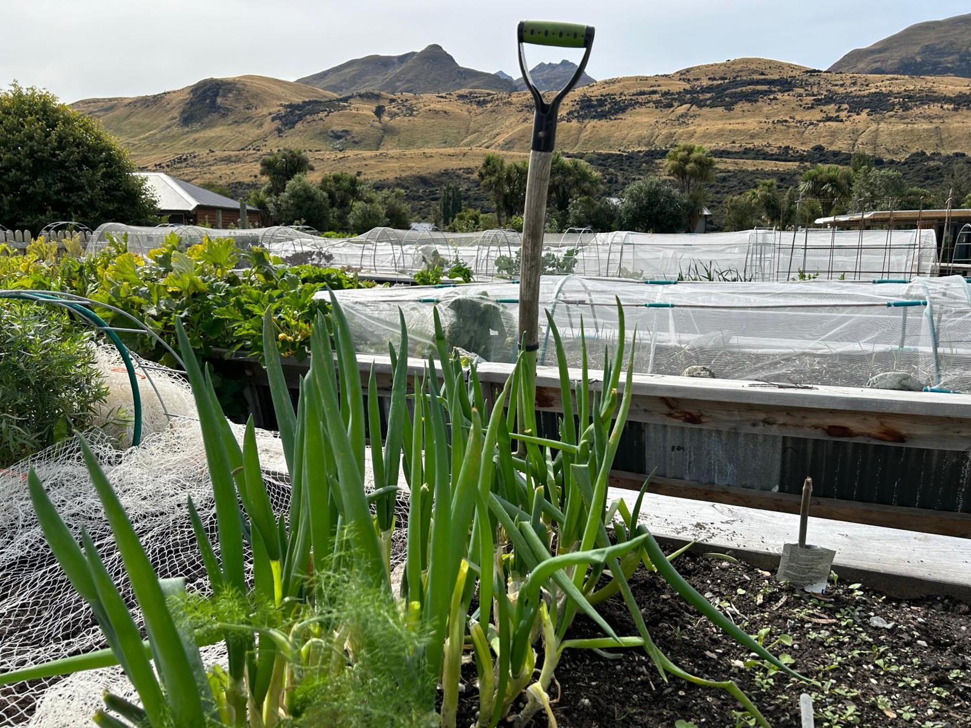 The Headwaters Eco Lodge Glenorchy Exterior foto